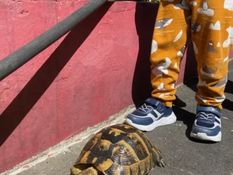 Tabiat Bahçe Etkinliğimiz