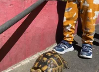 Ümraniye Atakent Özel Tabiat Anaokul ve Kreş ile okul öncesi eğitimde uzmanlaşın. İstanbul Ümraniye bölgesinde güvenli ve profesyonel hizmet.